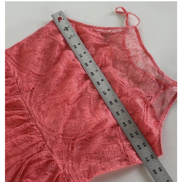 Cupcakes and Cashmere Dress Womens 2 Pink Lace Strady Midi NWT - Picture 7 of 9